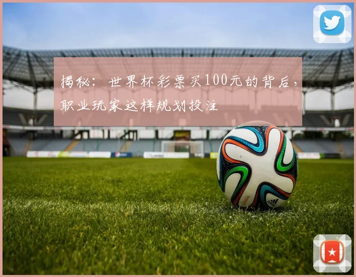 揭秘:世界杯彩票买100元的背后,职业玩家这样规划投注