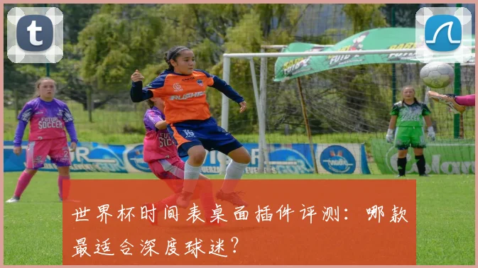 世界杯时间表桌面插件评测：哪款最适合深度球迷？