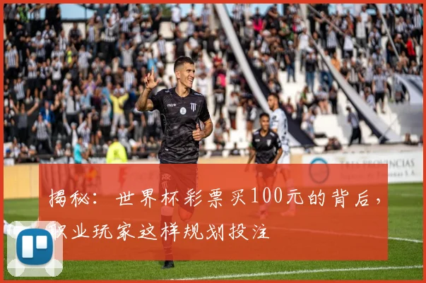 揭秘:世界杯彩票买100元的背后,职业玩家这样规划投注